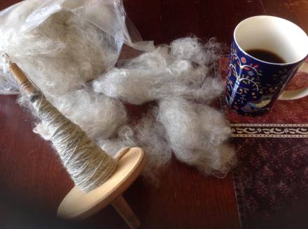 21277578_1463337823746346_1831744240_o