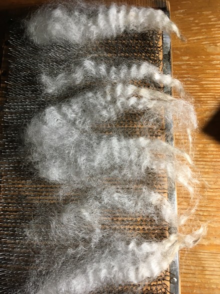 Ser ni vilken krusighet ullen har? det är det som ger studs och luft i garnet.